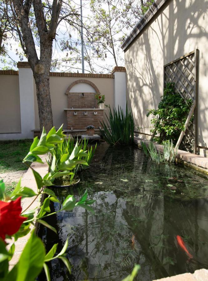 Villa Luce Assisi Rooms & Suites エクステリア 写真